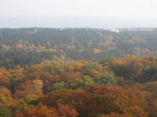 images/image/2016/Rugen/R-32.JPG