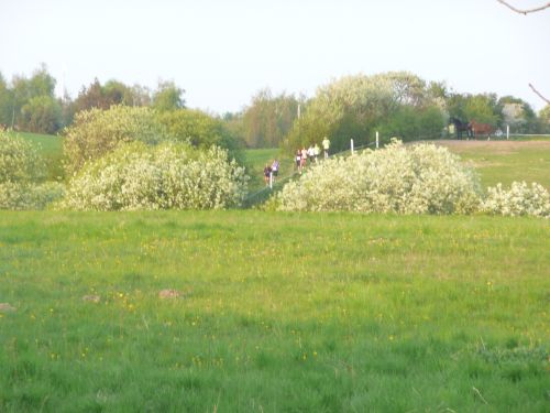 images/image/2011/foraar/P1080101.JPG#joomlaImage://local-images/image/2011/foraar/P1080101.JPG?width=500&height=375