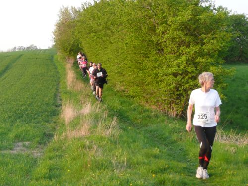 images/image/2011/foraar/P1080108.JPG#joomlaImage://local-images/image/2011/foraar/P1080108.JPG?width=500&height=375