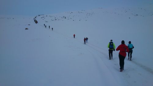 images/image/2014/Polar_circle_Marathon/DSC_0501.jpg