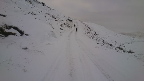 images/image/2014/Polar_circle_Marathon/DSC_0513.jpg