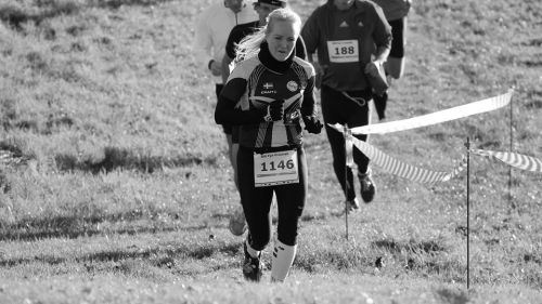 images/image/2015/DGI_crossloeb/Langeskov_3.jpg