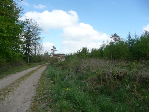 images/image/2015/Kalkmine/kalk27.jpg