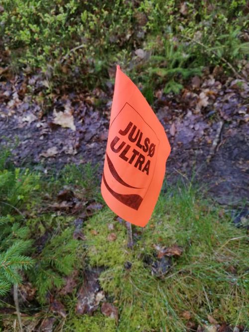 images/image/2019/Julsoe_ultra/j_03.jpg