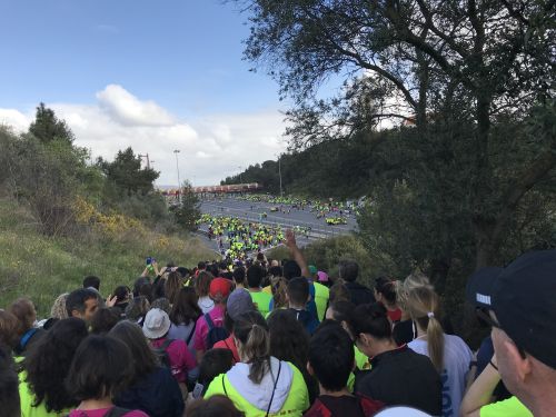 images/image/2019/Lissabon_halv/lis11-Traengsel_paa_vej_mod_broen_02.jpg