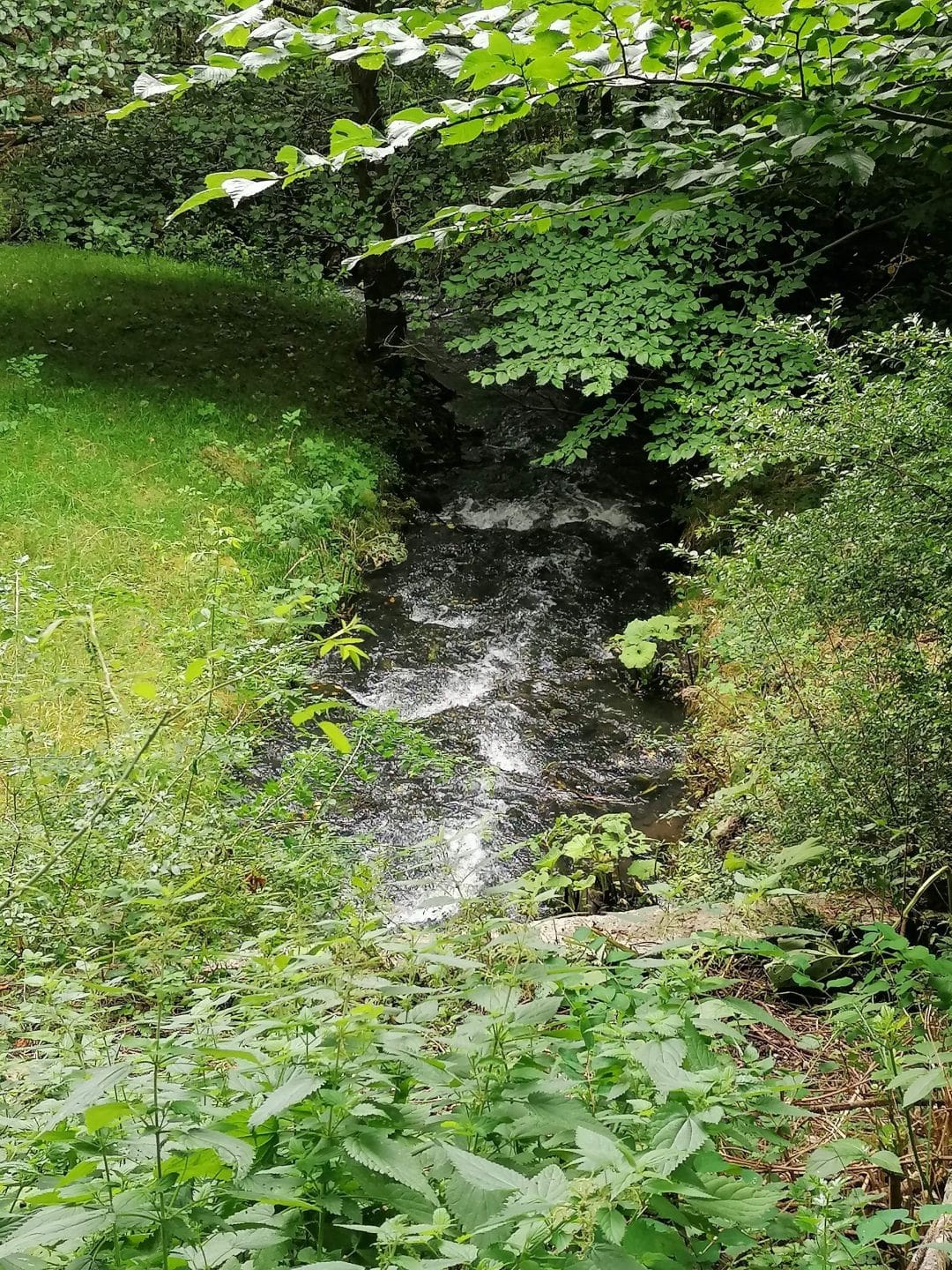images/image/2020/Aahytten/Aahytten_2020_065.jpg