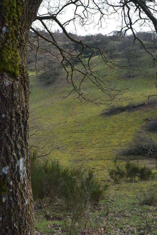 images/image/2020/DGI_Crossloeb/Foraar_2020/DGI_svanninge_02.jpg