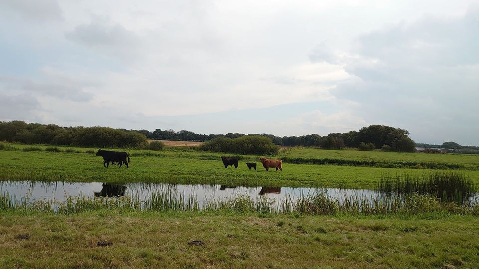 images/image/2020/Kongeaaultra/konge_4.jpg