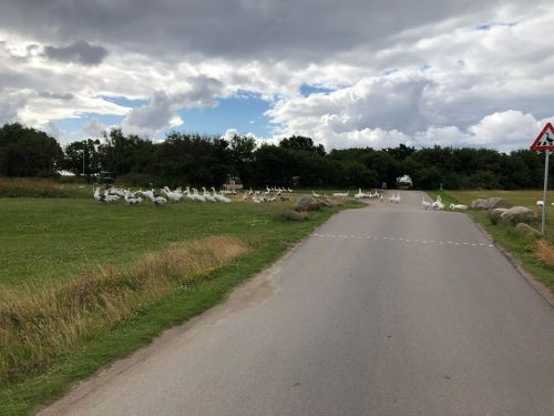 images/image/2020/Region_2020/Hovedstaden_4.jpg