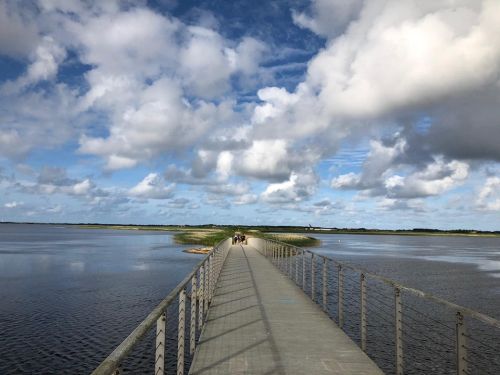 images/image/2020/Region_2020/Midtjylland_2.jpg