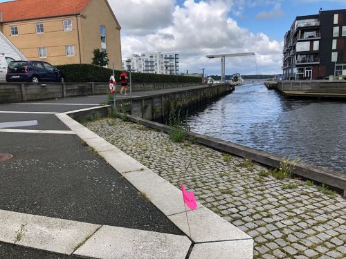 images/image/2020/Region_2020/Sjælland_10.jpg
