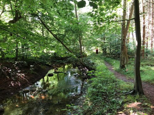 images/image/2020/Region_2020/Sjælland_4.jpg