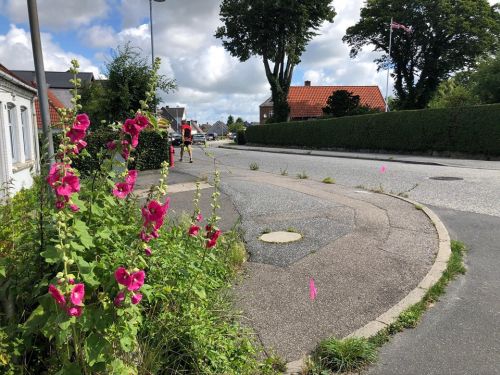 images/image/2020/Region_2020/Sjælland_7.jpg