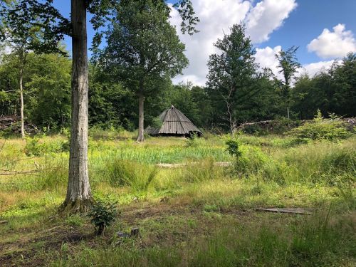 images/image/2020/Region_2020/Sjælland_9.jpg