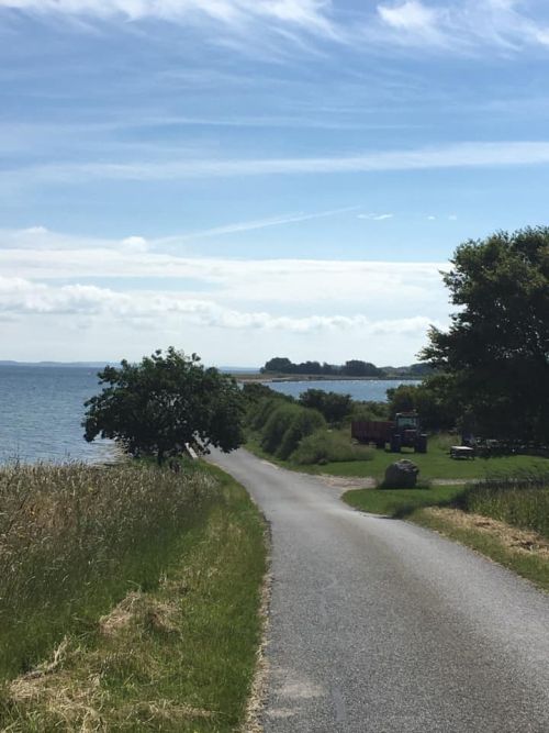 images/image/2020/Virtuelle_loeb/Danmark_loeber/Danmark_lober_sammen_juni_1.jpg