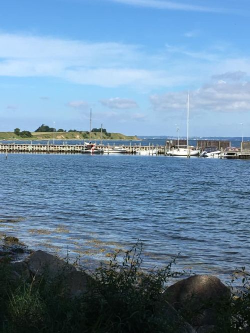 images/image/2020/Virtuelle_loeb/Danmark_loeber/Danmark_lober_sammen_juni_2.jpg